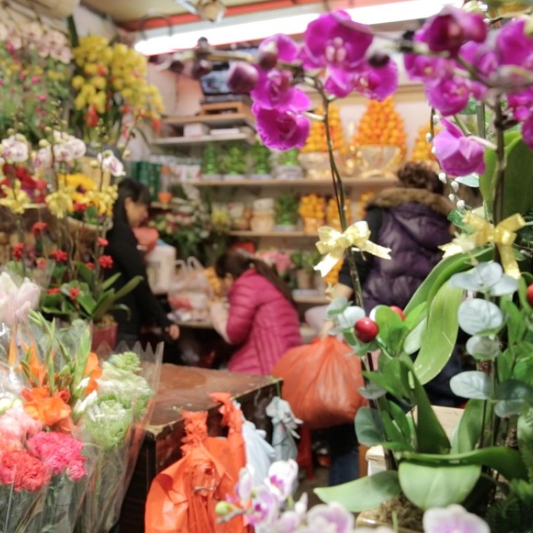 Chinese New Year 2016 The Meaning Behind Plants And Decorations