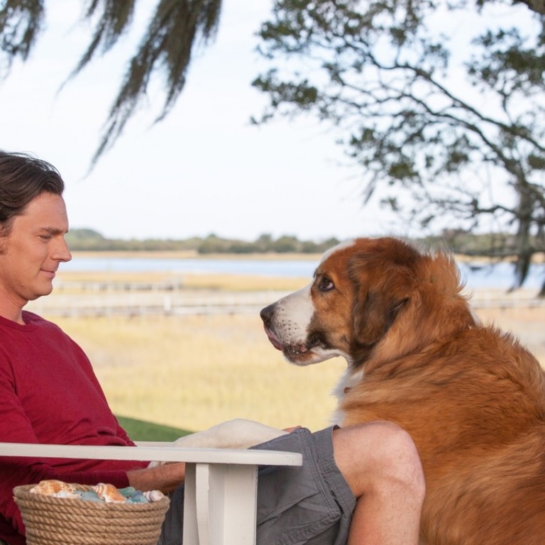 Film Review The Choice Beautiful People Fall In Love In 11th Nicholas Sparks Adaptation South China Morning Post