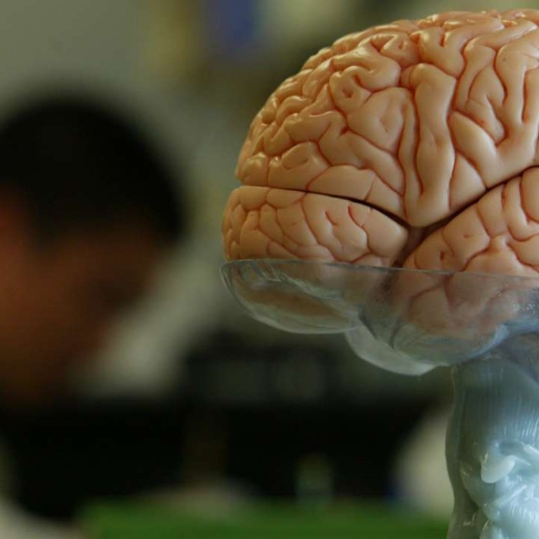 Researchers collect brains of US troops to study link between battle ...