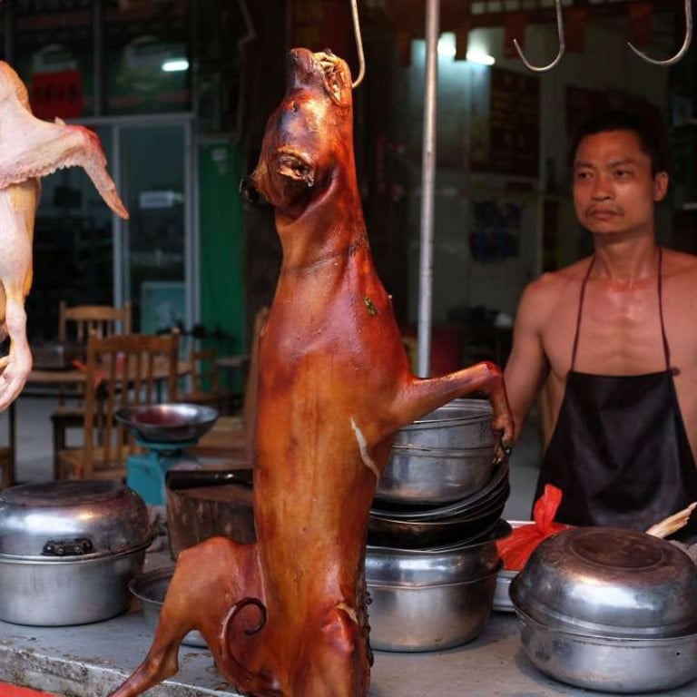 International protests against dog eating festival in ...