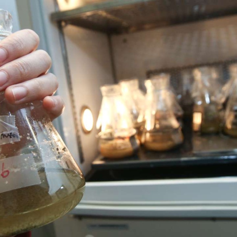 Cheers Hong Kong researchers work to recycle blended textiles in