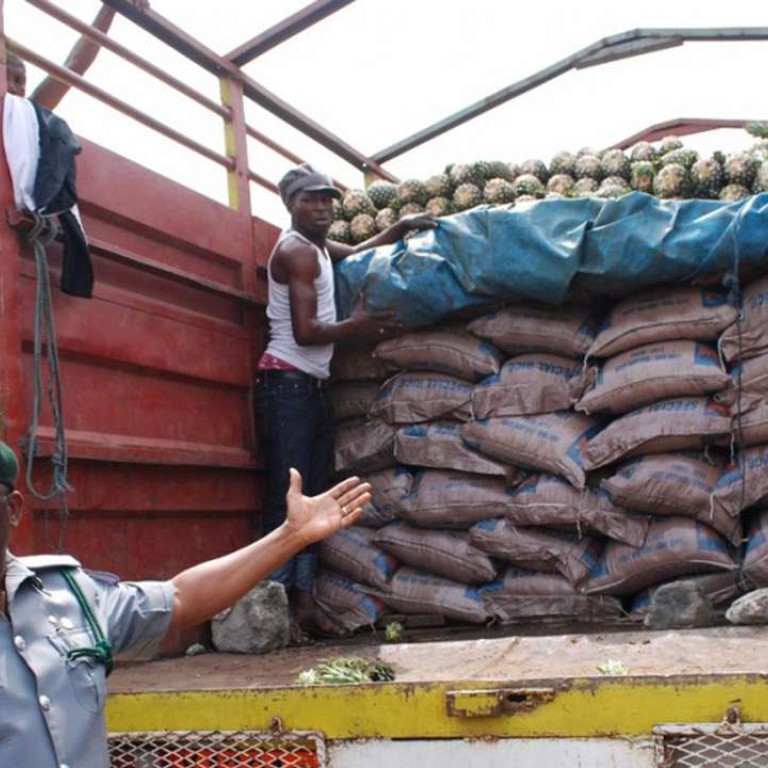 Artificial food intended for display only, say Chinese manufacturers ...