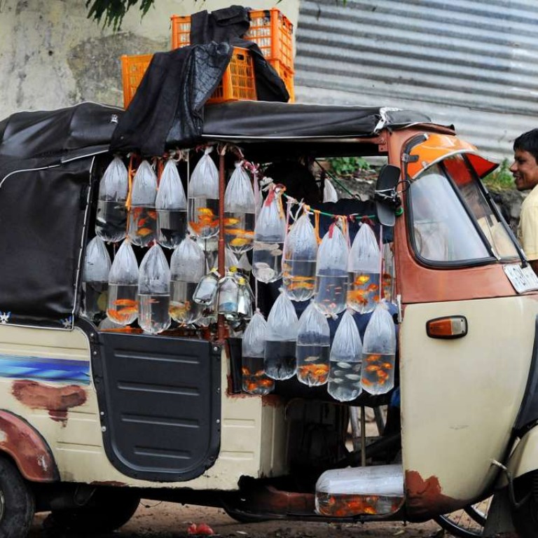 How The Term Tuk Tuk Has Travelled The World South China