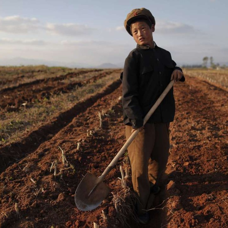 North Korean University Seeks Agriculture Advice From Texas Academics South China Morning Post