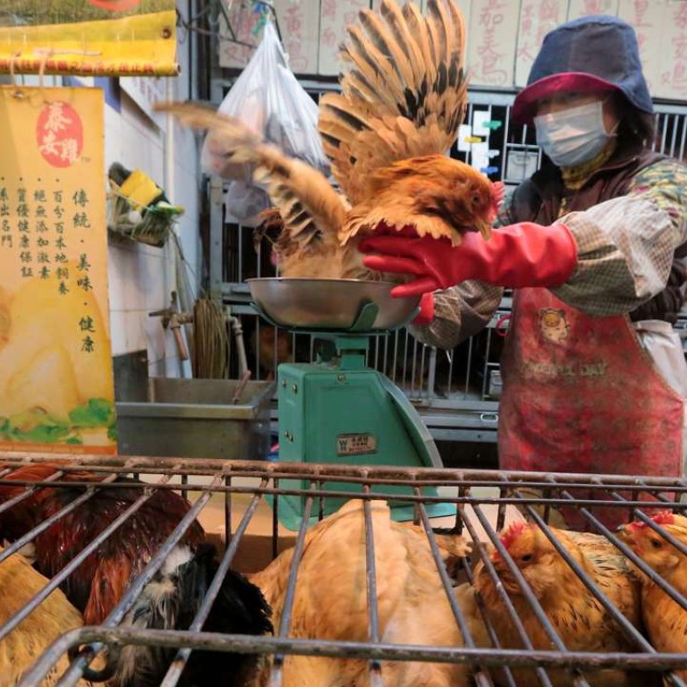 As bird flu outbreaks more common in China and elsewhere