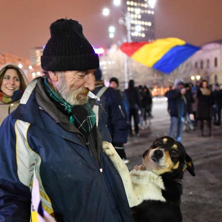 Dogs Paid To Protest Fake News Flooding Romania And Fuelling Euroscepticism Blamed On Russia South China Morning Post