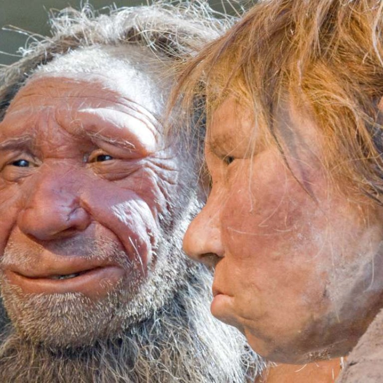 Prehistoric Humans Cannibals Didn T Do It Just Because They Were