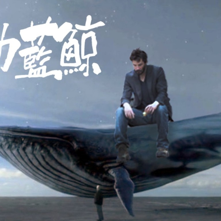 Show Care To Youngsters Playing Deadly Blue Whale Game Hong Kong Anti Suicide Group Urges South China Morning Post