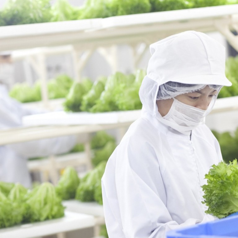 The Future Of Farming Japan Goes Vertical And Moves Indoors