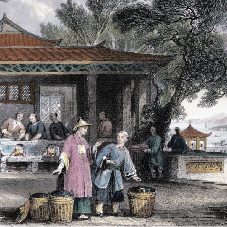 The Great Tea Robbery How The British Stole China S Secrets And