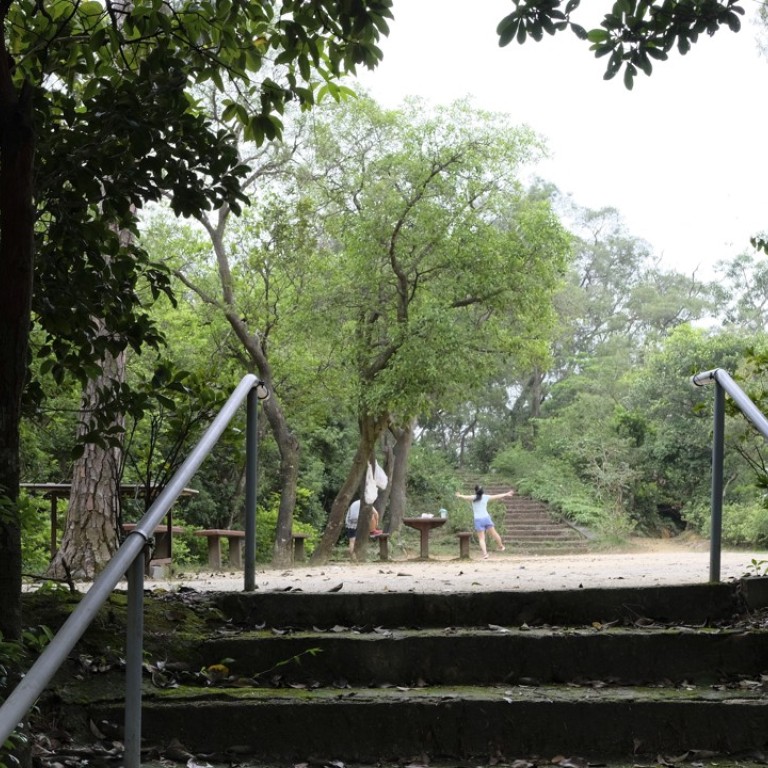 A Well Kept Hong Kong Secret The Guerilla Gardeners Who Tend Its Morning Walkers Gardens South China Morning Post