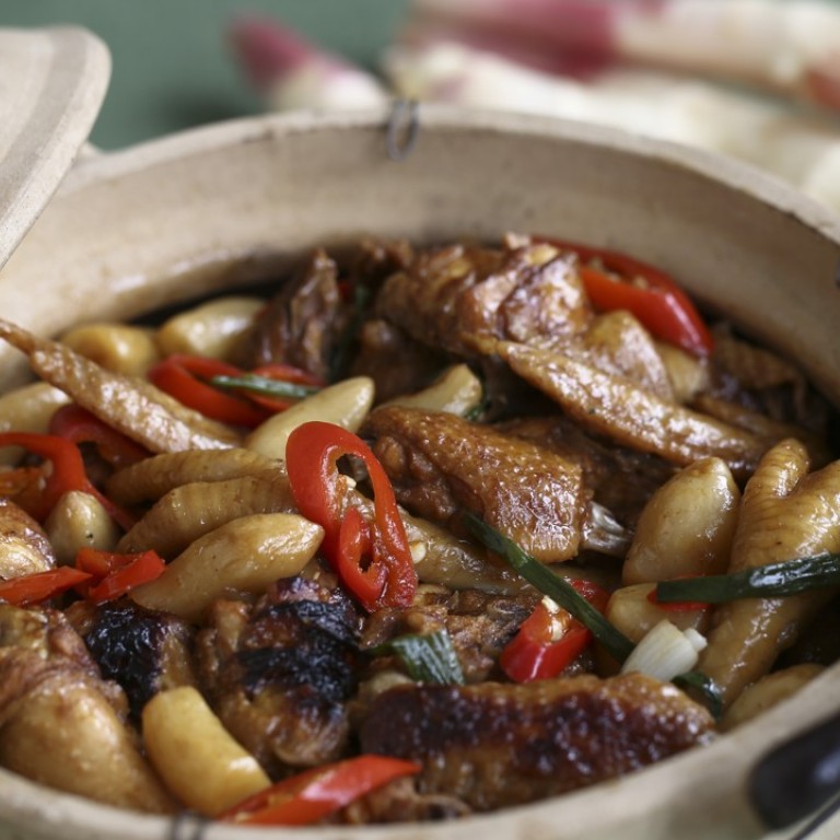 Susan Jung’s Recipe For Chinese Braised Chicken With Pickled Young ...