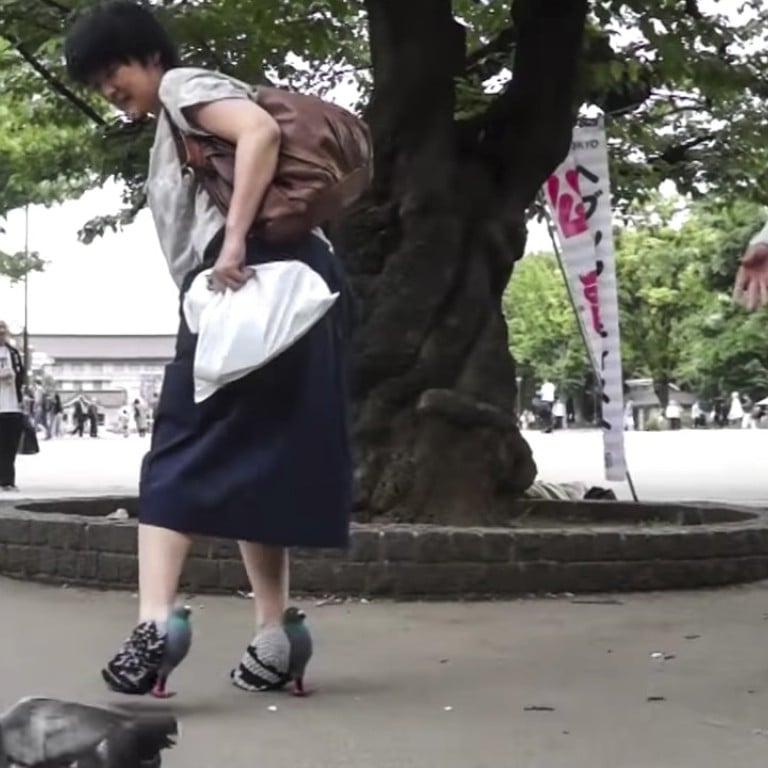 Pigeon Shoes Where To Buy Fancy Bird Shoes Like That