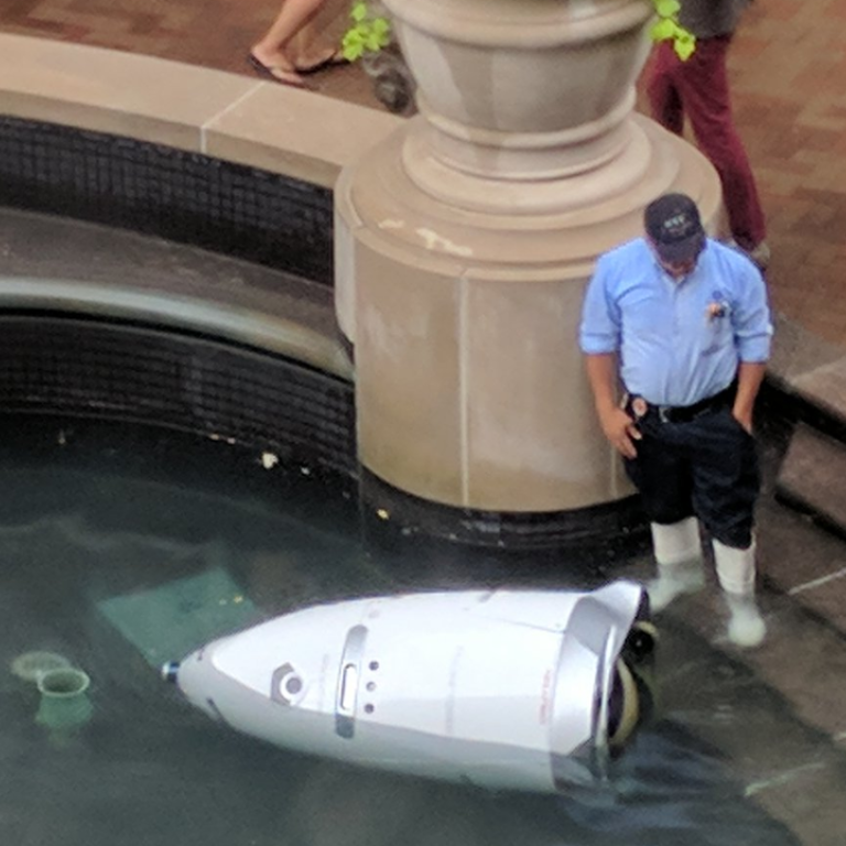 This Robot Is Designed To Keep People Safe In The Us But It Fell