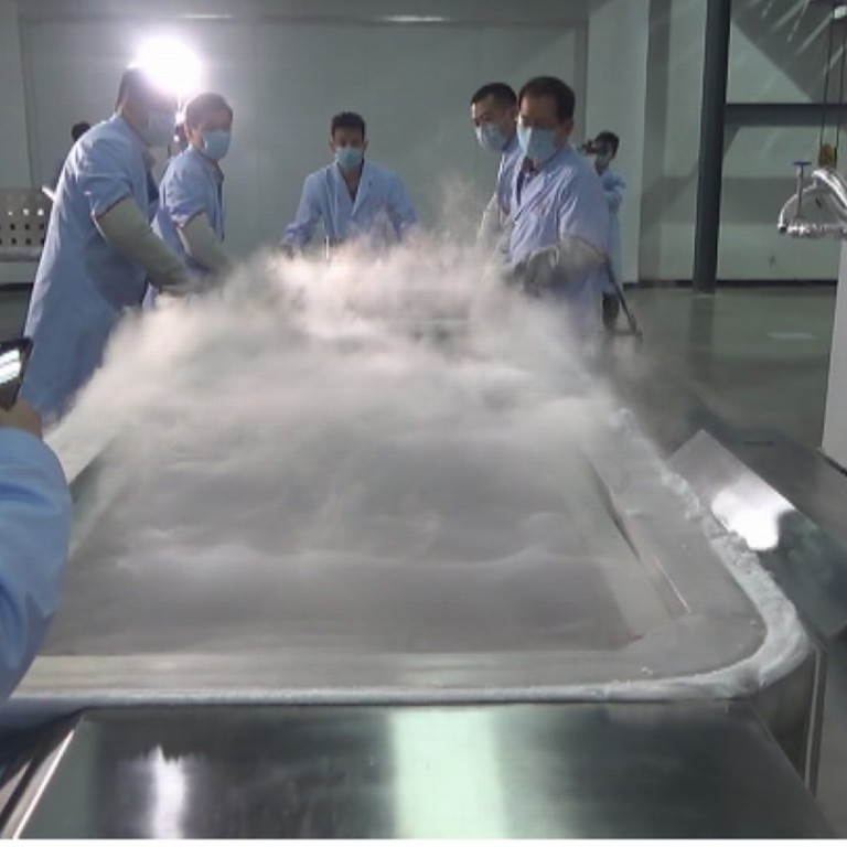 In May, Zhan Wenlian became the first Chinese person to undergo cryogenic freezing at the Shandong Yinfeng Life Sciences Research Institute. Photo: Handout