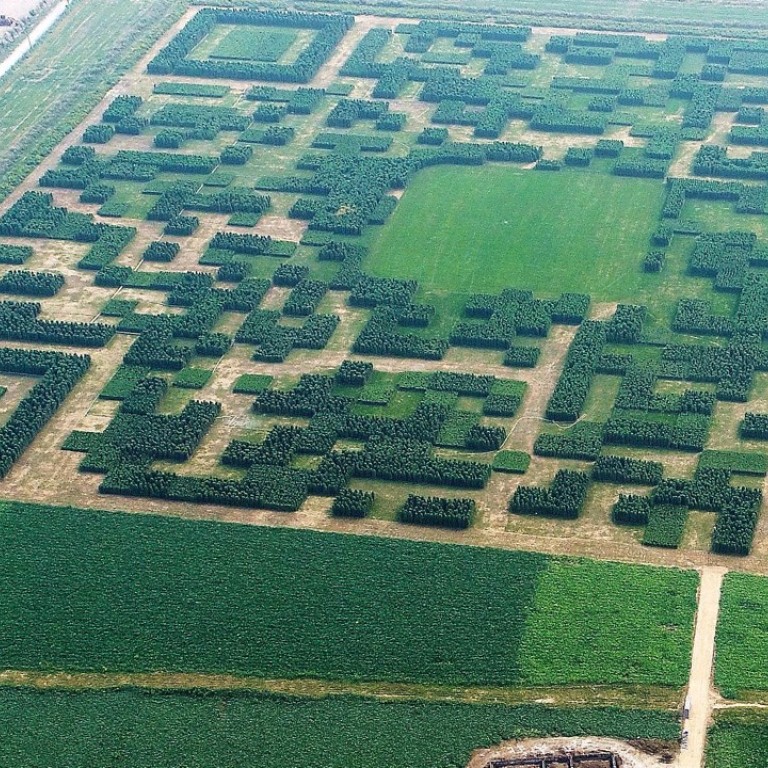 Chinese Village Builds Giant Qr Code In Field In Effort To Connect With Visitors South China Morning Post