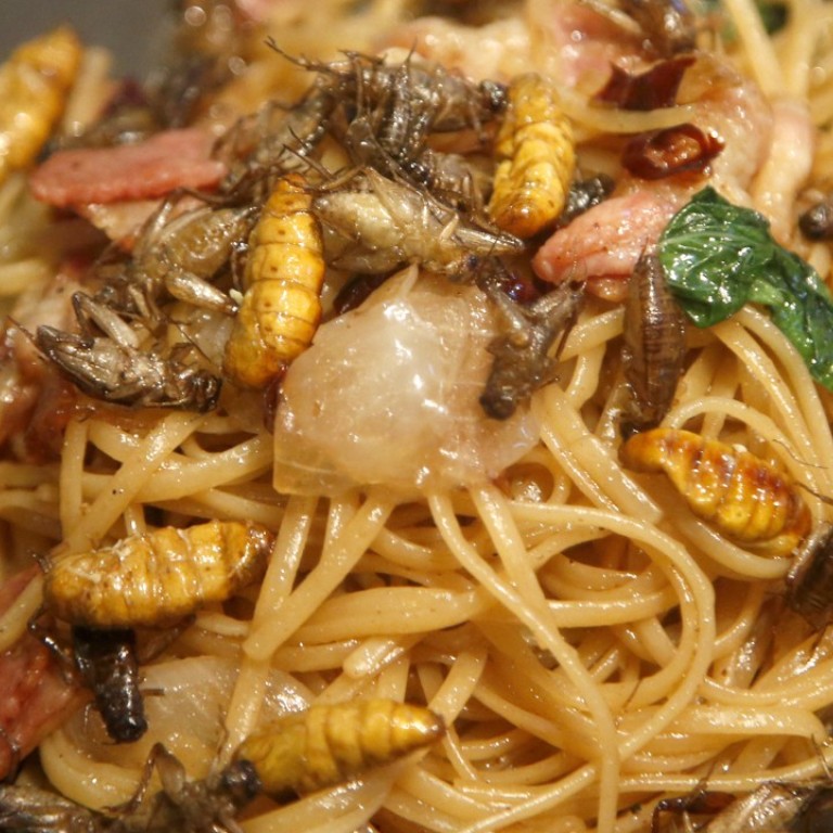 Bugs found in food at Bangkok bistro are part of the recipe South