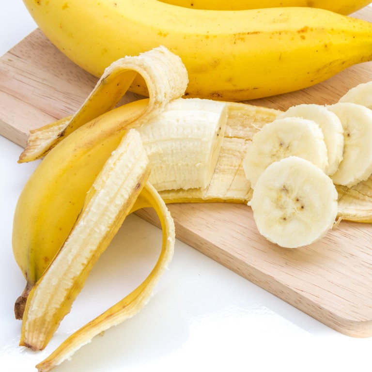 Yes We Ll Have No Bananas Scientists Race To Save The World S Most Popular Fruit South China Morning Post Yes We Ll Have No Bananas Scientists Race To Save The World S Most Popular Fruit South China Morning Post