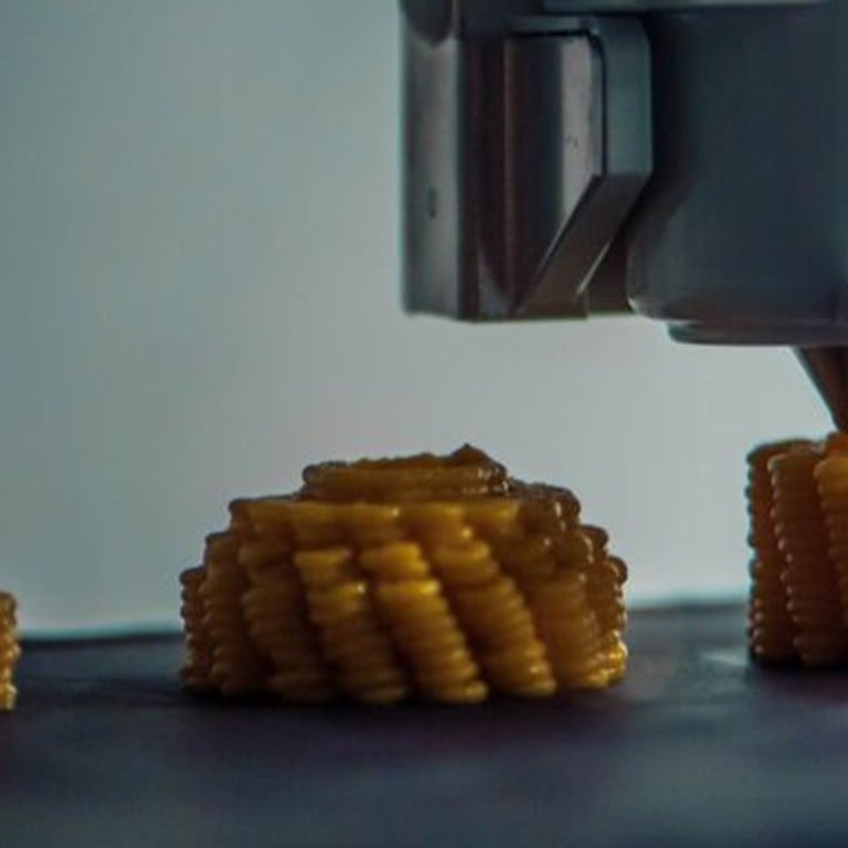 Food For Thought 3d Printers Of Future To Make Our Heart S Desire South China Morning Post
