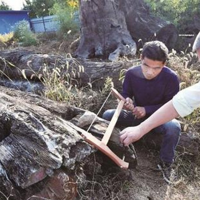 Tree Trunk Pulled From Chinese River And Dumped In Factory