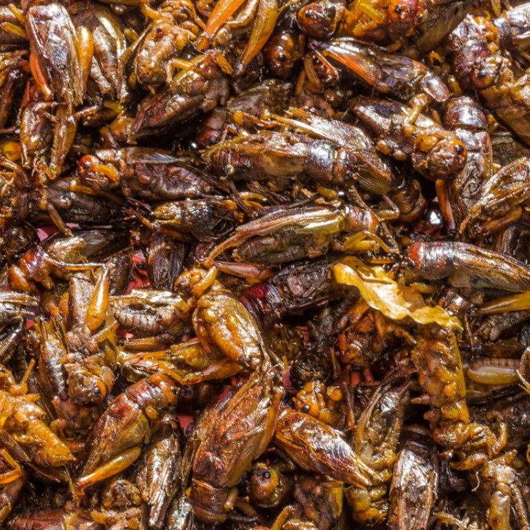 Six Top Healthy Food Trends For 2018 From The Next Superfoods To