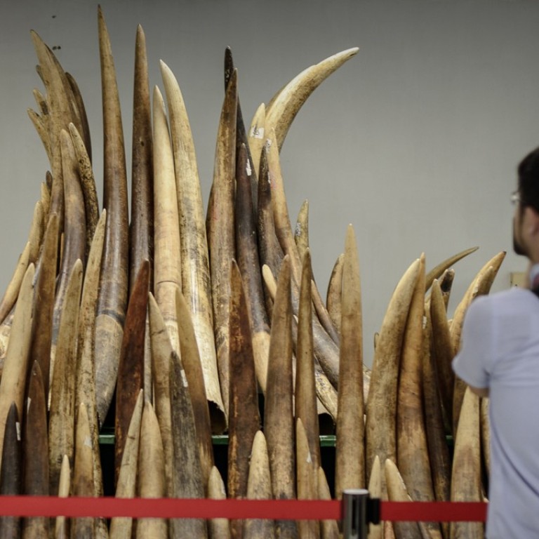 Hong Kong endangered species adviser quits over illegal ivory
