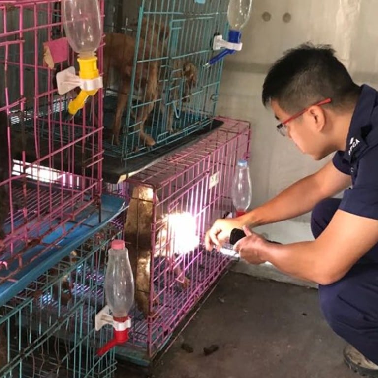 Hong Kong Police ‘take Animal Abuse As Seriously As Murder’ Despite Low ...