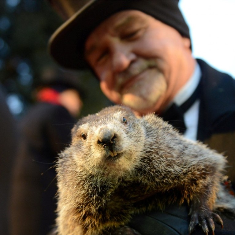 Groundhog Day Rodent Predicts Six More Weeks Of Winter For Us