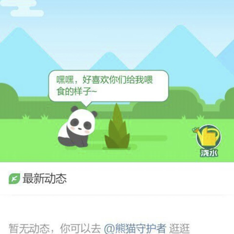 Save China S Pandas By Raising A Virtual One Mobile Game Slammed For Being Too Simplistic South China Morning Post