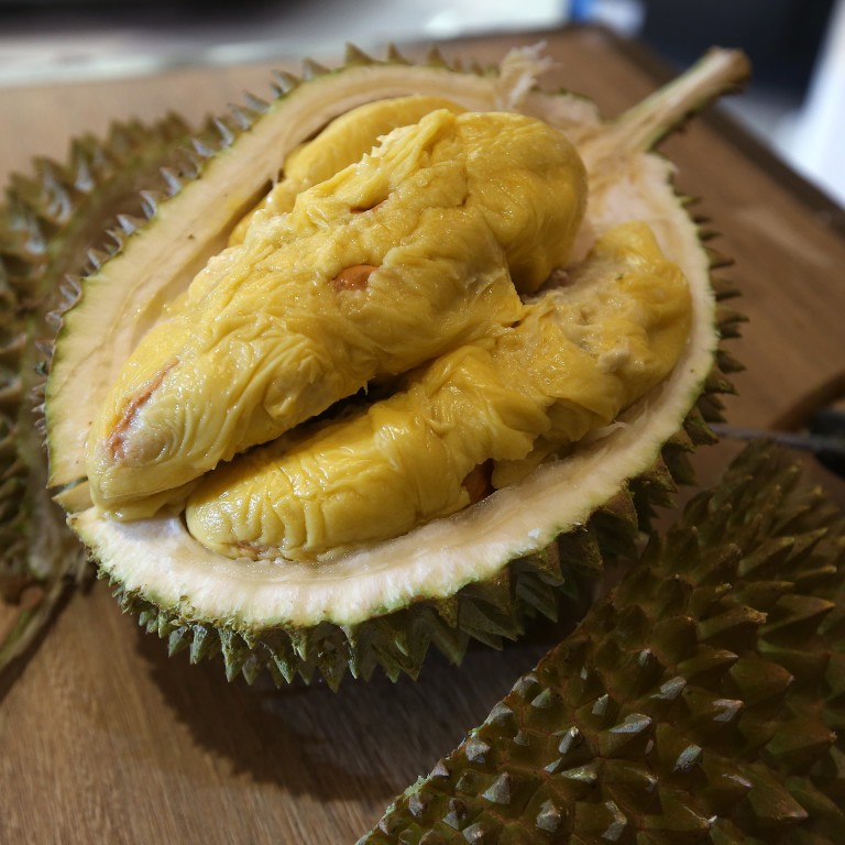 Képtalálatok a következőre: durian