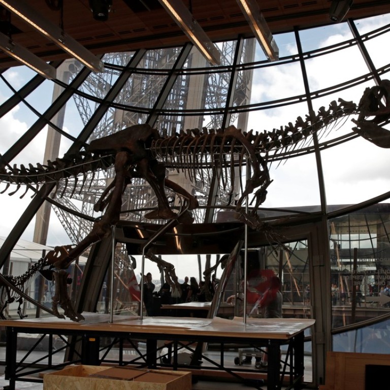 most intact dinosaur skeleton