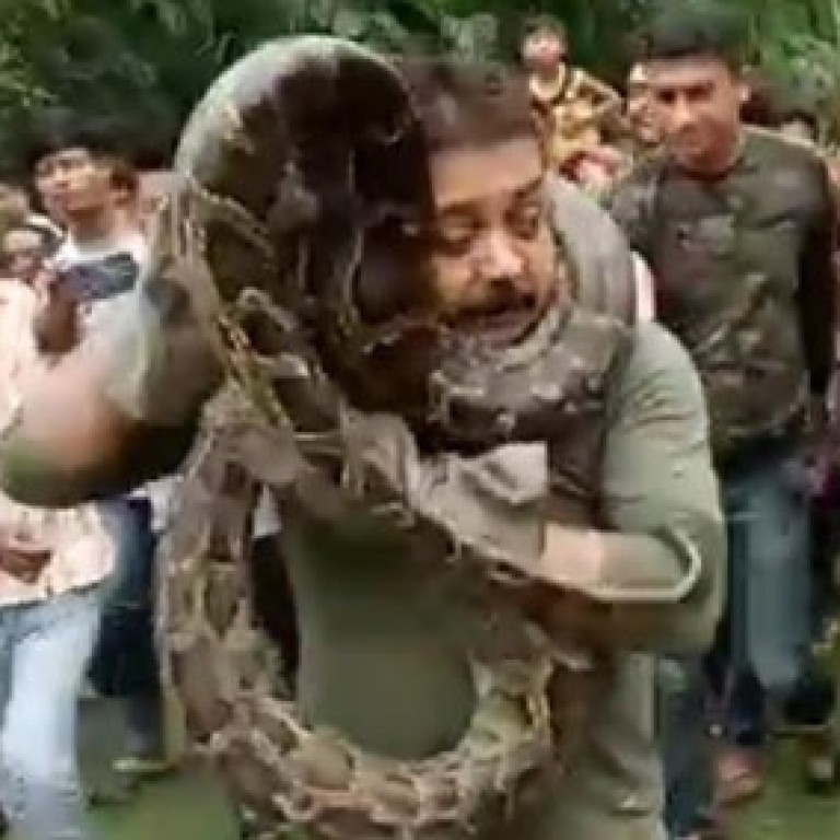 10 Toads Hitch Ride On A Python To Escape Australian Floodwaters Yes There S A Photo And A Sexy Twist To The Tale South China Morning Post From high powered computers with commercial can to usb devices right down to low powered devices running linux such as a beaglebone or raspberrypi. 10 toads hitch ride on a python to