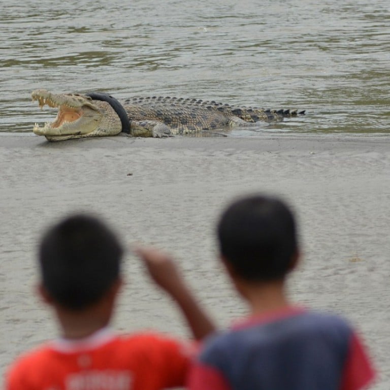 Deaths of Indonesia’s 300 crocodiles in mob rampage must not go