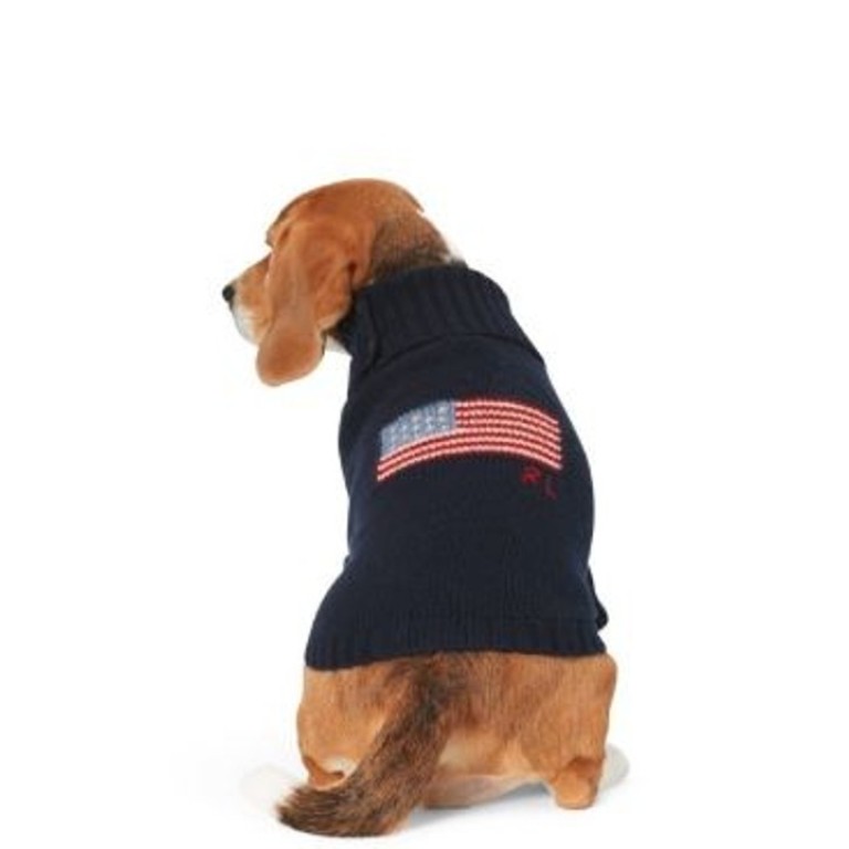 From Puppy To Yuppie 5 Indulgent Accessories For Man S Best
