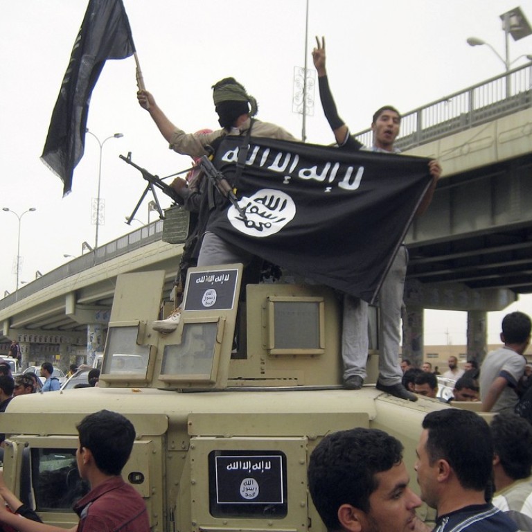 Islamic State to survive after stinging defeats in Iraq and