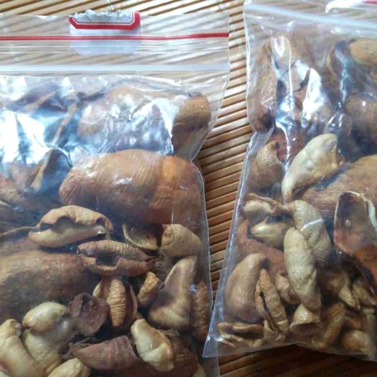 Scales Of Endangered Pangolin Found For Sale On Chinese E commerce