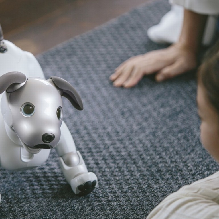 hi tech robot dog