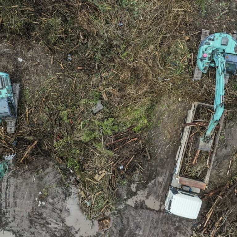 Trees in landfill tell the story of Hong Kong’s lack of green sense