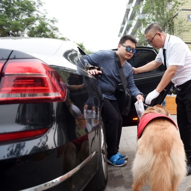 Three ways for Hong Kong to a more petfriendly city South