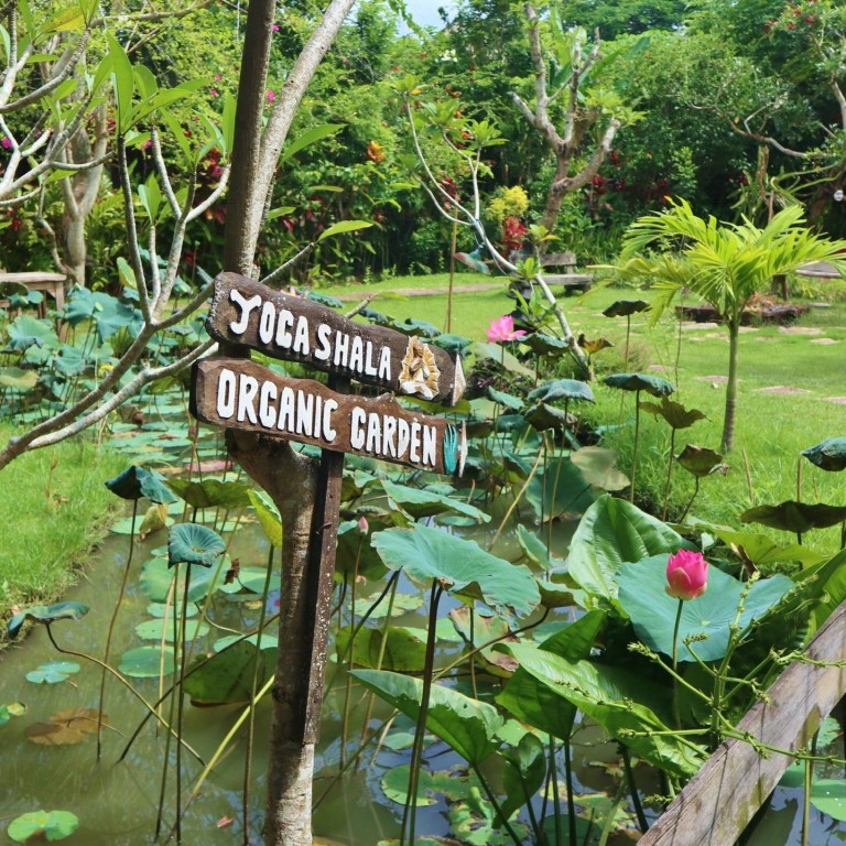 How An Eco Focused Resort In Bali Can Help You To Feel Good And Do