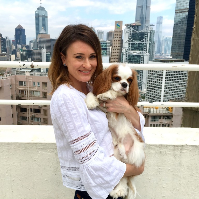 Meet Billy The Cavalier King Charles Spaniel And Star Of New Hong Kong Book Series South China Morning Post Meet Billy The Cavalier King Charles Spaniel And Star Of New Hong Kong Book Series South China Morning Post