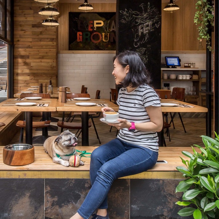 How Instagram Is Influencing Interior Design Trends For Better