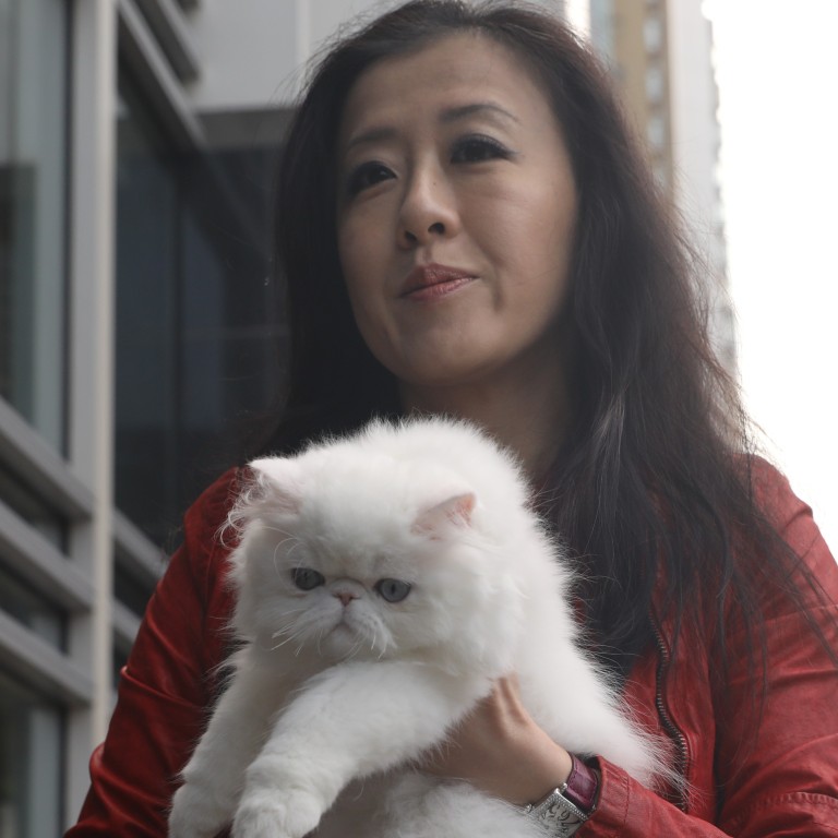 Taiwanese Cat Breeder Who Says Her Persian Kittens Were Stolen And