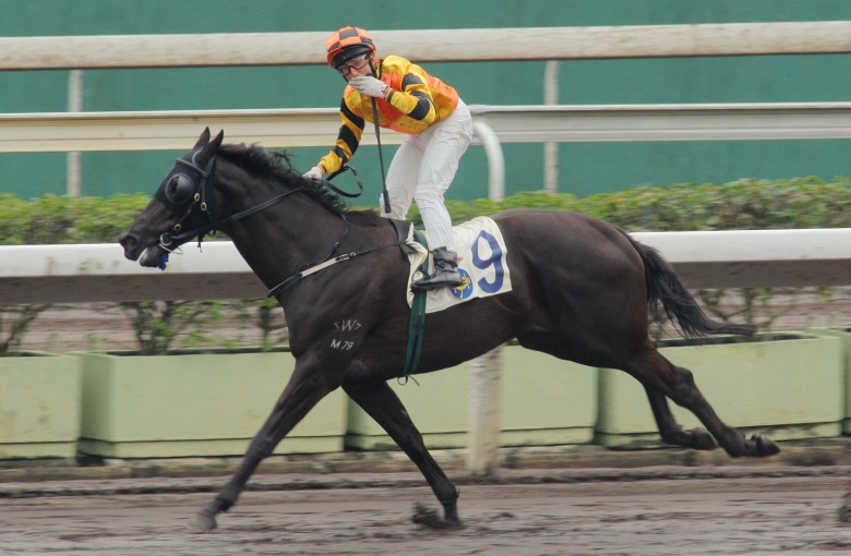 Tips On Getting To Grips With Hong Kong Racing Hk Racing South China Morning Post