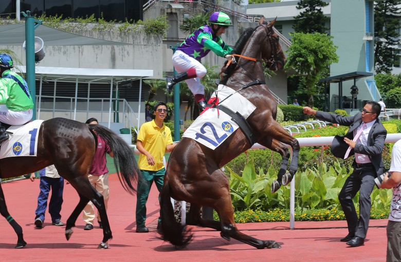 Jockey shrug sales