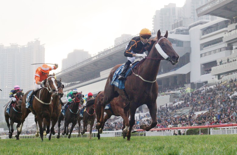 Able Friend wins the Stewards' Cup in a canter. A Dubai Turf tilt is now off the agenda. Photos: Kenneth Chan