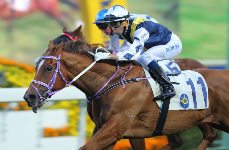 Joao Moreira piloted stayer-in-the-making Redkirk Warrior to an impressive win over 1,600m at Sha Tin on February 1 that took the horse's rating to 87. Photos: Kenneth Chan