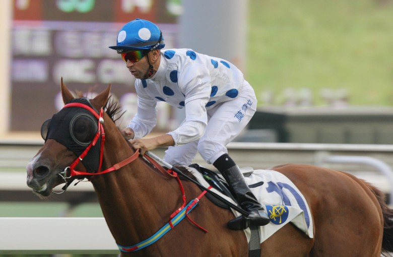 Contentment is unbeaten over the Sha Tin 1,400m, including a win in the Celebration Cup. Joao Moreira jumps back aboard today for the first time since the Sha Tin Trophy. Photos: Kenneth Chan