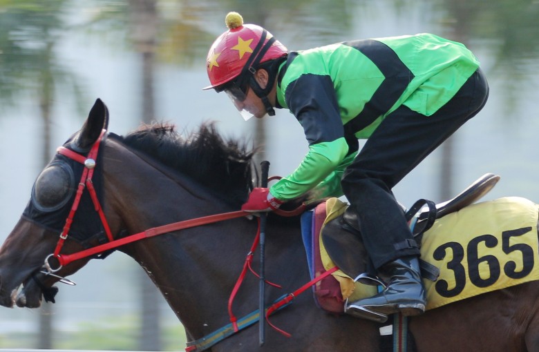 SUPER SILKS ridden by Douglas Whyte trial in batch 2 over 1200Metres (All Weather Track) at Sha Tin. 23OCT15