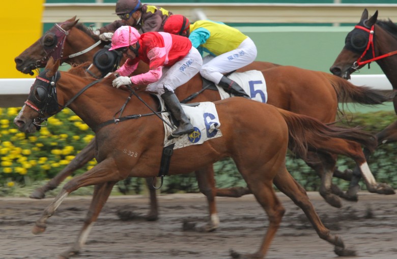 Race 4, Ture Comment, ridden by Neil Callan, won the class 4 over 1800m(all weather track) at Sha Tin on 24Jan16.